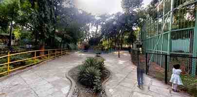 Zoo Development